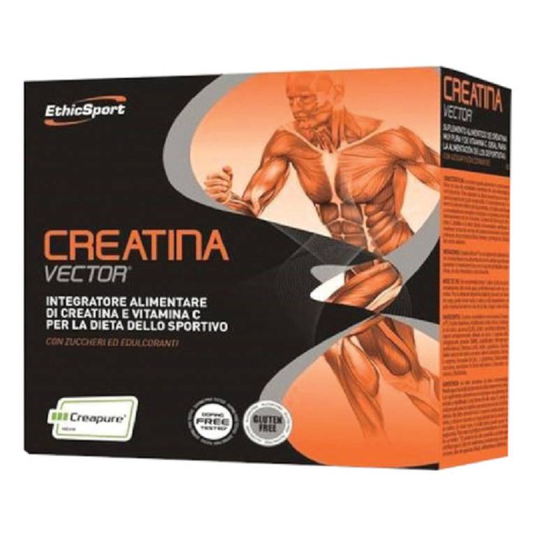 CREATINA VECT20BUST ETICHSPORT